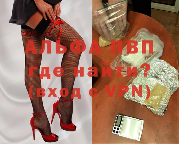 ГАЛЛЮЦИНОГЕННЫЕ ГРИБЫ Гусев