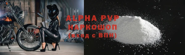 ГАЛЛЮЦИНОГЕННЫЕ ГРИБЫ Гусев