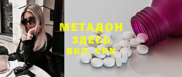 ГАЛЛЮЦИНОГЕННЫЕ ГРИБЫ Гусев