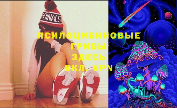 стафф Зеленодольск