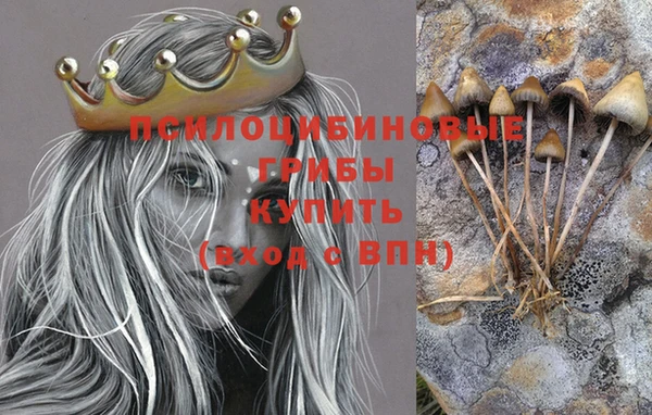 ГАЛЛЮЦИНОГЕННЫЕ ГРИБЫ Гусев