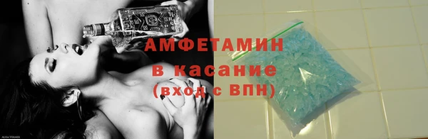 ГАЛЛЮЦИНОГЕННЫЕ ГРИБЫ Гусев